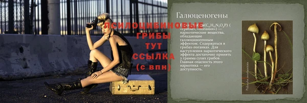 гидра Балахна